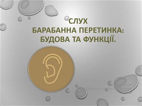 Барабанна перетинка: будова та функції - презентация онлайн
