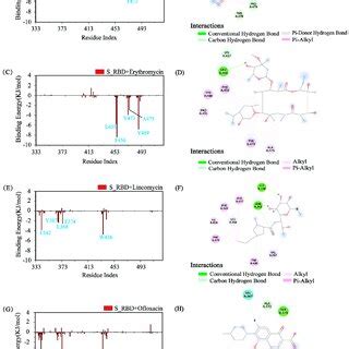 Residue Based Interaction Sites Analysis The Binding Free Energy In