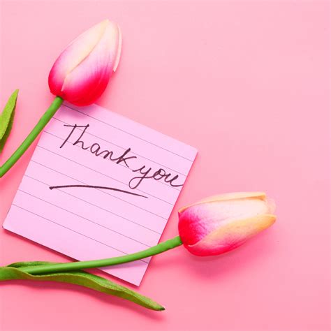 50 Simple Appreciation Messages to Express Your Gratitude