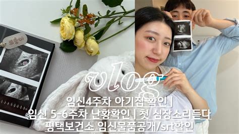 임산부vlog 아기집보러가요 임신초기브이로그 임신4주차 임신5주차 임신6주차 난황 확인 첫 심장소리까지