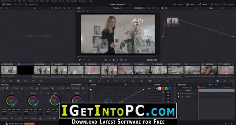 Davinci resolve system requirements linux - nsagenesis