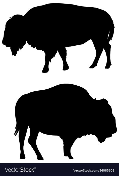 American bison silhouette Royalty Free Vector Image