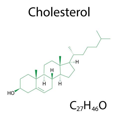 10 Cholesterol Crystal Stock Illustrations Royalty Free Vector