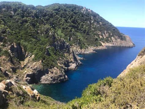 Ab Livorno Tagestour zur Insel Gorgona mit Wanderung und Fährenfahrt