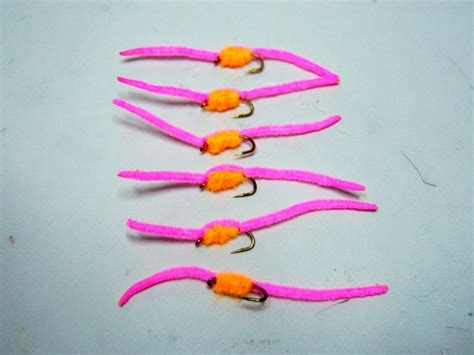 infamous pink worm san juan worm fly