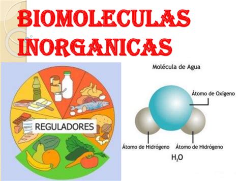 Bioelementos Y Biomoleculas Mind Map