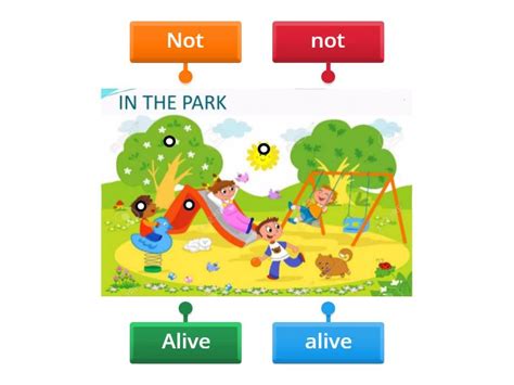 Whats Alive Or Not Alive” Labelled Diagram