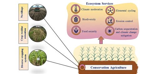 Conservation Agriculture As A System To Enhance Ecosystem Services