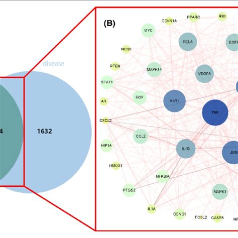 Venn Diagram And Protein Protein Interaction PPI Network Diagram Of