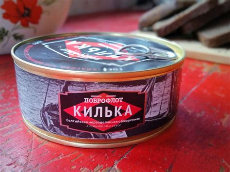 Про кильку в томате | ЮлиКо (Предпоследний приют) | Дзен