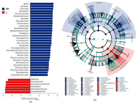 Linear Discriminant Analysis Effect Size Lefse Analysis Of Taxonomic