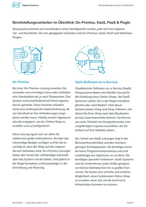 Whitepaper: The B2B Shop System Guide