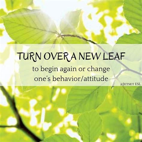 Turn Over A New Leaf New Leaf Plant Leaves Turn Ons