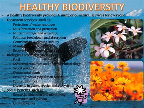 Ppt Conservation Of Biodiversity Powerpoint Presentation Free