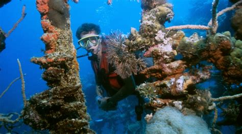 Diving in Coron (Palawan) | Diving Holidays | Regaldive - The Diving ...