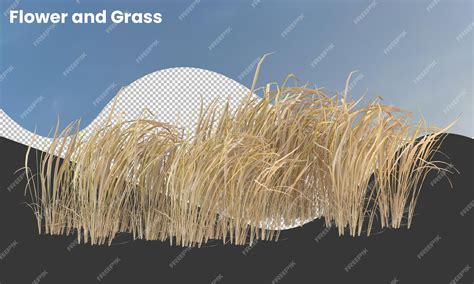 Premium Psd Dry Grass Isolated Dry Grass Field