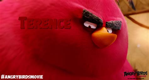 The Angry Birds Movie Terence Wallpaper By Jeremiekent13 On Deviantart