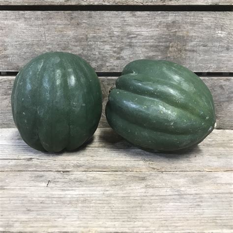 Ontario Squash – Acorn/Pepper | Josmar Acres Inc