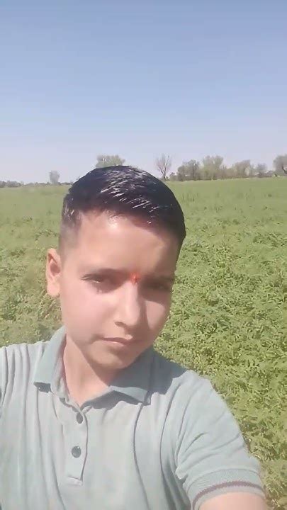 My Farm Youtube