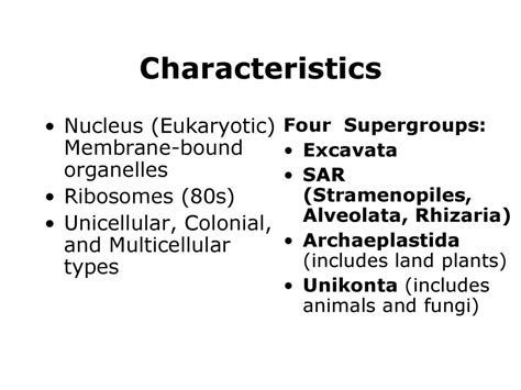 Origins Of Eukaryotic Diversity Protists Diversity Ppt Download