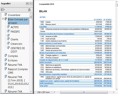 Commencer Une Comptabilit En Partie Double Banana Accounting Software