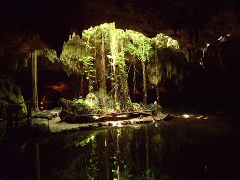 Los Cenotes De Yucatan