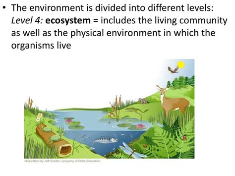 Ppt 11 Biotic And Abiotic Factors In Ecosystems Powerpoint