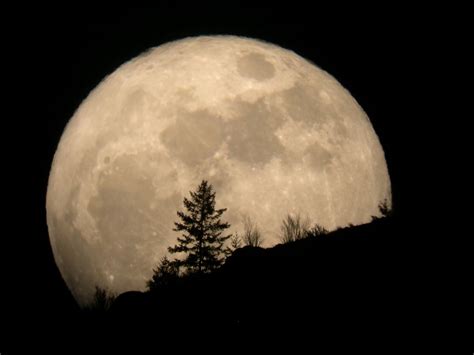 Why The Supermoon Will Look Largest Near The Horizon Live Science