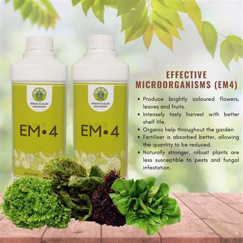 Ready Stock L Baja Organik Effective Microorganism Em Terbaik