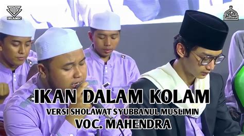 Lirik Ikan Dalam Kolam Versi Sholawat Majelis Syubbanul Muslimin