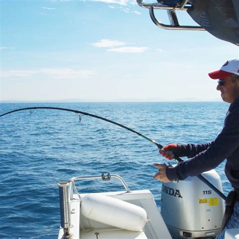 Découvrir le matériel WFT pour la technique Pêche