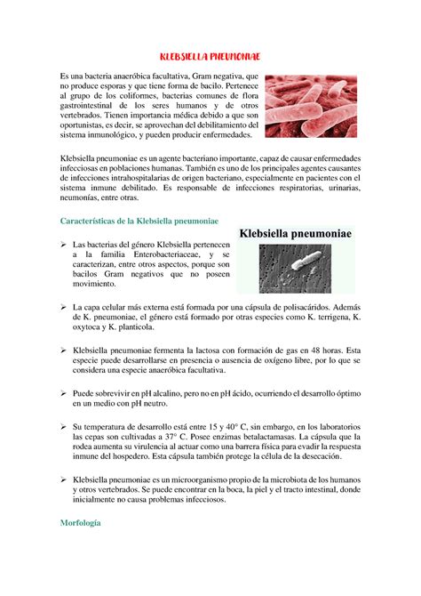 Klebsiella Pneumoniae Klebsiella Pneumoniae Es Una Bacteria