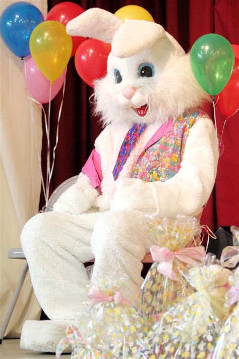 Easter Bunny Near Me Darcey Jeniffer