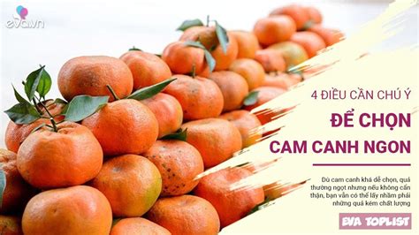 4 điều Cần Chú ý để Chọn Cam Canh Ngon Không Phải Ai Cũng Biết Trăm