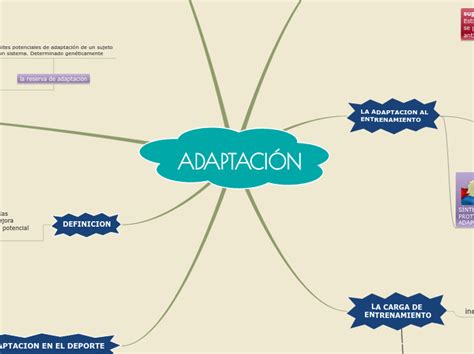 Mapa Conceptual Adaptabilidad Social De La Persona Con Discapacidad