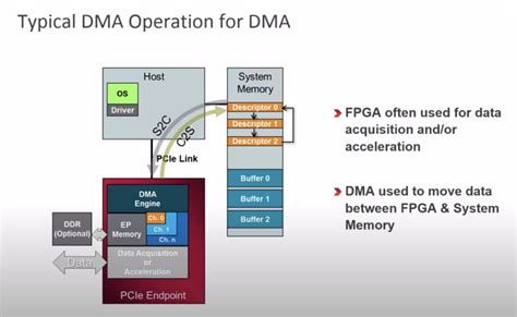 3 Dmabridge For Pcie Ip Overview — Fpgaemu 01 Documentation