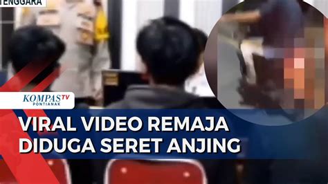 Remaja Diduga Seret Aniaya Anjing Di Jalan Raya Mengaku Pindahkan