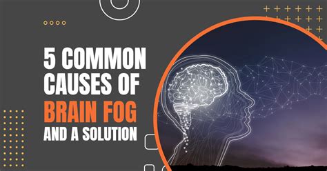 Common Causes Of Brain Fog And A Solution Cellg