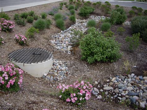 Detention Basin for Stormwater Management | Elements Studio