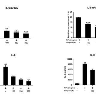 Effects Of Bergenin On TNF Induced Expression Of Pro Inflammatory