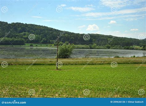 Pond for Fish Breeding and Fish Farming Stock Photo - Image of pond, fish: 209636136