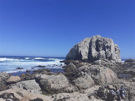 Playa Canelo Valparaiso 2021 Qué saber antes de ir Lo más