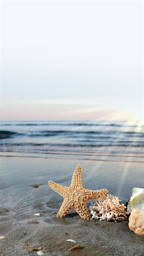 Beach and Starfish Wallpaper - WallpaperSafari