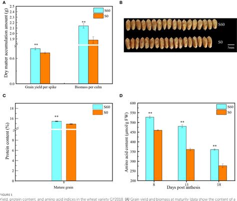 Figure 1 From Integrated Transcriptomic And Metabolomic Analyses