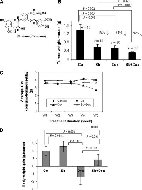 Effect Of Silibinin Doxorubicin And Their Combination On In Vivo Lung