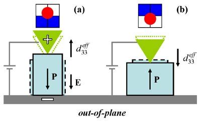 Piezoresponse Force Microscopy PFM Introduction Principles And