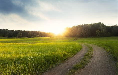 Wallpaper Road Greens Field Summer The Sky Grass The Sun Light