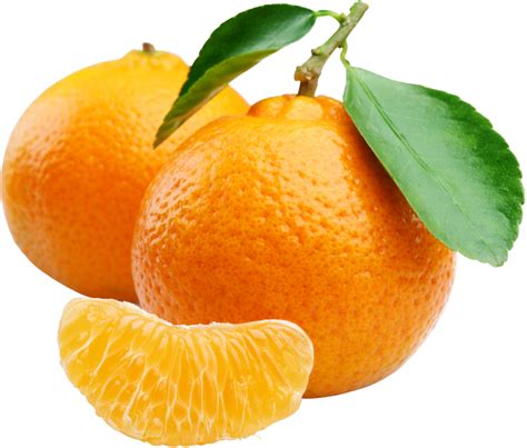 Curiosidades Sorprendentes Sobre Las Naranjas Descubre Datos