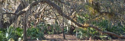 Hiking in Florida – Florida Hikes