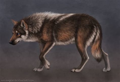 Makangeni General Artist Deviantart Dire Wolf Canine Art Wolf Dog